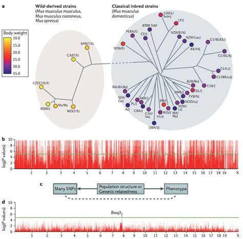 Review Article: Mixed Models and Population Structure – ZarLab