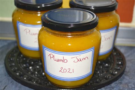 Delicious Yellow Plum Jam Recipe