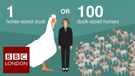 1 Horse Sized Duck Or 100 Duck Sized Horses London Mayoral