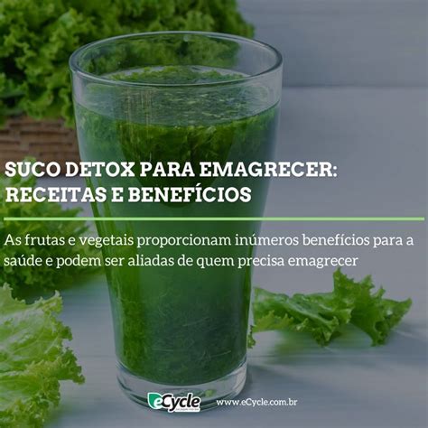 Suco Detox Para Emagrecer Receitas E Benefícios Ecycle Em 2021