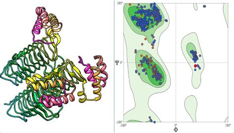 Structure of the D-alanine-D-alanine ligase protein. (A) Three... | Download Scientific Diagram