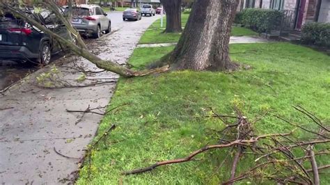 Us Atmospheric River Violent Winds Knock Down Trees Leaving Multiple