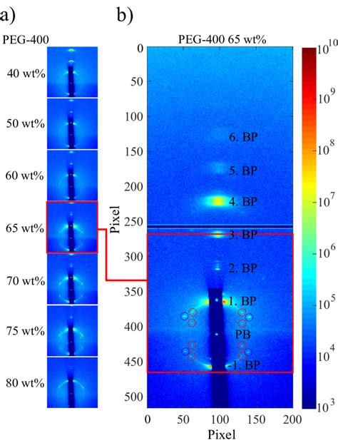 24 A GISAXS Patterns Of PC PE Chol 45 45 10 Immersed In PEG 400