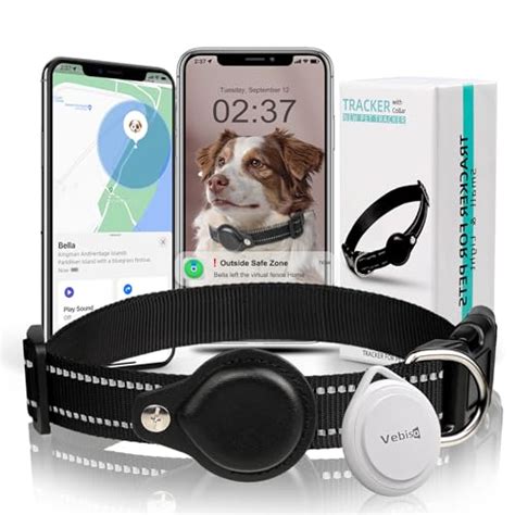 Top 10 Best Pet Tracker For Dogs Reviews And Buying Guide Katynel