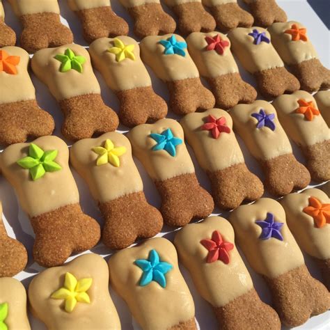 Gourmet Dog Treats Best Friend Bones Decorated Dog Treats Etsy