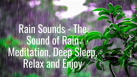 Rain Sounds The Sound Of Rain Meditation Deep Sleep Relax And Enjoy