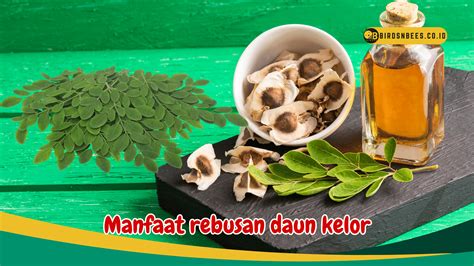 Manfaat Rebusan Daun Kelor Untuk Kesehatan Mampu Mengontrol Gula Darah