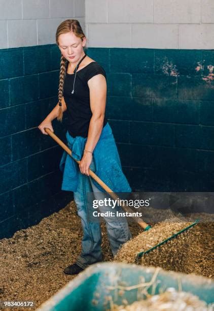 39 Horse Stall Cleaning Stock Photos, High-Res Pictures, and Images ...