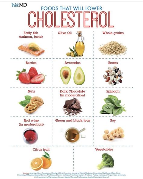 Printable Cholesterol Food Chart
