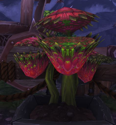 Gorgrond Flytrap Wowpedia Your Wiki Guide To The World Of Warcraft