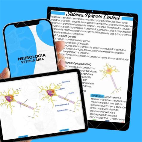 APOSTILA NEUROLOGIA MEDICIINA VETERINÁRIA Taylon Pereira Farias