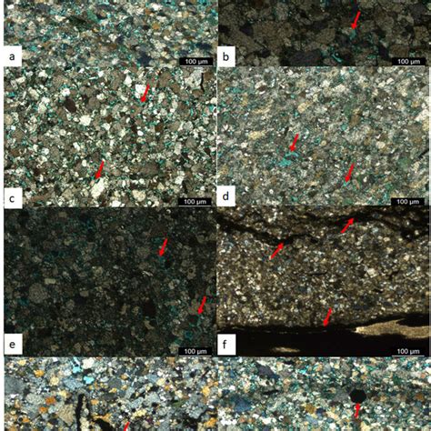 Thin Section Photomicrographs Showing A Authigenic Quartz Blue Download Scientific Diagram