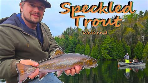 May Long Speckled Trout Fishing The Tradition Continues Youtube