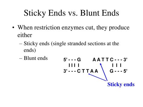 PPT - Restriction Enzymes PowerPoint Presentation, free download - ID ...