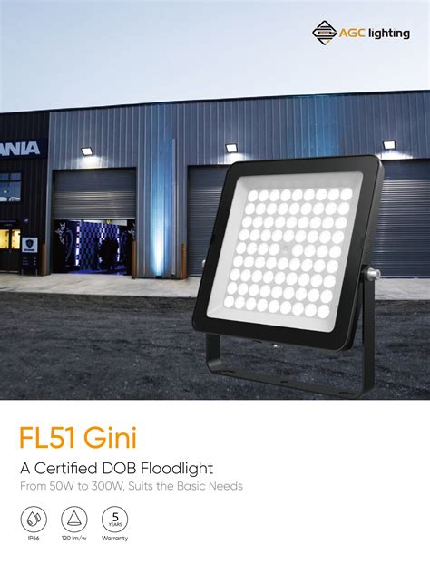 Fl51 Gini 50w To 300w Cost Effective And Anti Glare Led Floodlight