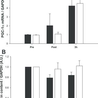 Pgc Mrna Content A And Pgc Total Protein Content B Expressed