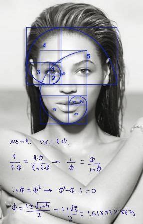 Pin by Luciana de on Salvamentos rápidos Fibonacci spiral Face