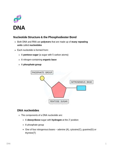 The Sugar-Phosphate Backbone: Nucleotide Structure and the Formation of ...