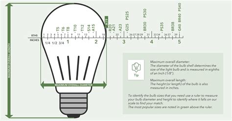 Standard Light Bulb Size Chart Atelier Yuwaciaojp