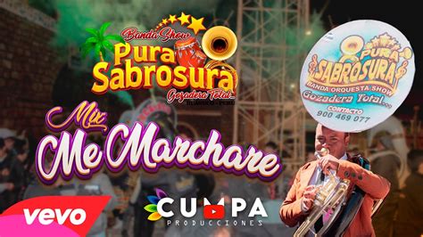 MIX ME MARCHARE Y CHOFERCITO CARRETERO BANDA SHOW PURA SABROSURA EN