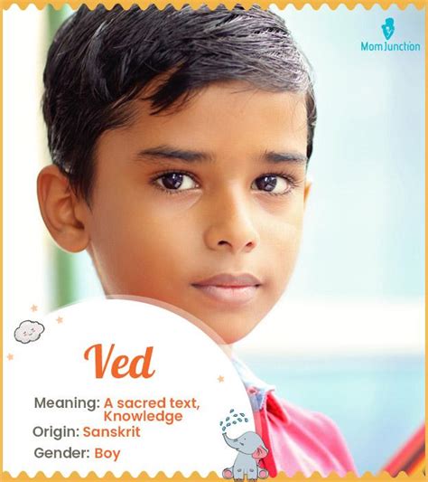 explore ved meaning origin popularity