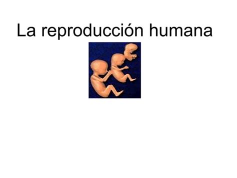 La Reproducci N Humana Jorge Ppt