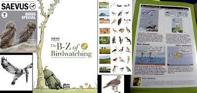 green humour   green humour  saevus