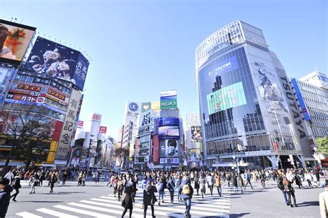 渋谷の地形を解き明かす！都心には「谷底の街」があった！？渋谷は谷が密集してできた街だった まっぷるウェブ