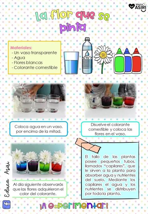 NUESTROS EXPERIMENTOS Imagenes Educativas Experimentos Para