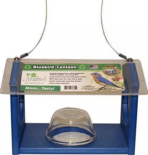 Songbird Essentials Bluebird Canteen Bird Feeder Mercadolibre