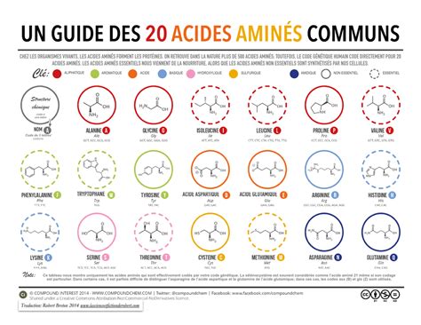 Les Acides Amin S La Science Et Fiction De Robert