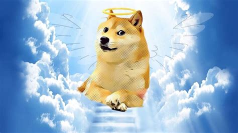 Netizens condole ’doge meme’ Shiba Inu Kabosu’s passing away: ’Changed ...