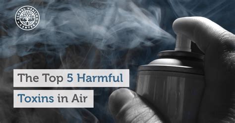 The Top 5 Harmful Toxins in Air