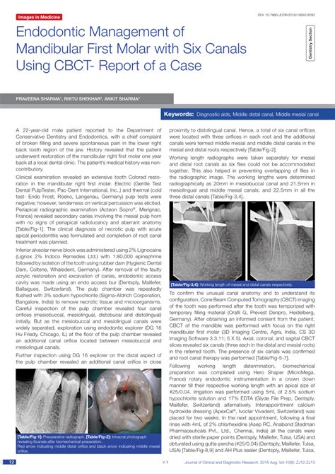 PDF Endodontic Management Of Mandibular First Molar With Six Canals