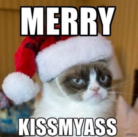 Merry Christmas | Grumpy Cat | Know Your Meme