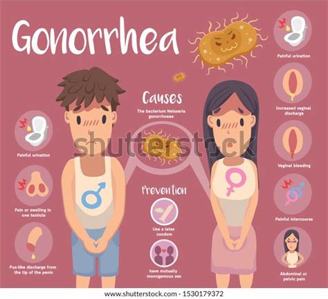 Cute Infographic Gonorrhea Disease Stock Vector Royalty Free