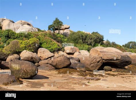 Boulders On The Cote De Granit Rose Pink Granite Coast In Brittany