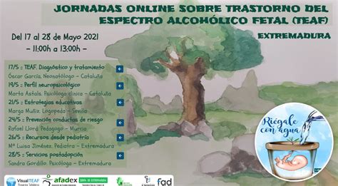 Socidrogalcohol Jornada Online Sobre Trastorno Del Espectro