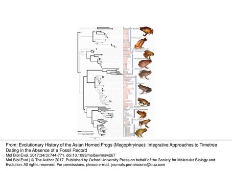 Fig Combined Phylogenetic And Reltime Timetree Based On The Topology