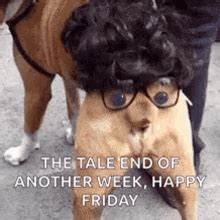 Happy Friday Funny GIFs | Tenor