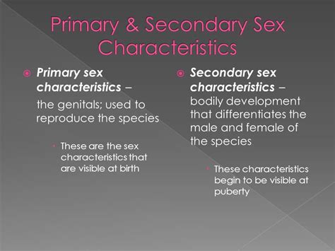 Primary Sex Characteristics The Genitals Used To Reproduce The Species These Are The Sex