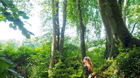 Randonnée pédestre Durmenach Luppach le grand Mélèze Visit Alsace