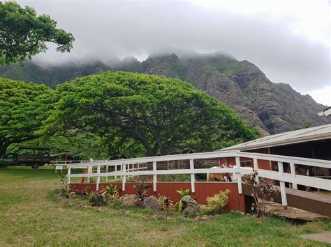 Kualoa Ranch - Visiting Jurassic Park Hawaii - Forever Lost In Travel