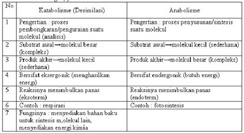 Detail Contoh Katabolisme Dan Anabolisme Koleksi Nomer