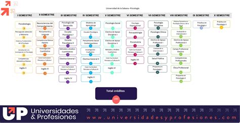 Psicología Universidad de La Sabana Elige qué estudiar en la