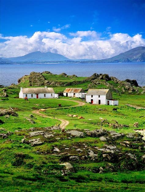 The Gaeltacht The Gaeltacht is the area in Donegal where, many claim, one of the purest forms of ...