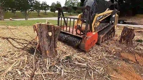 Revolutionary Forestry Mulching Techniques For Efficient Land Clearing