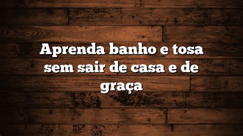 Aprenda Banho E Tosa Sem Sair De Casa E De Gra A Wisetipscentral