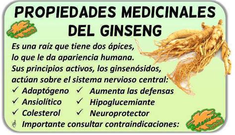 Beneficios Del Ginseng Para La Mujer