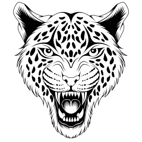 Leopard Head Vector Illustration 23368341 Vector Art At Vecteezy